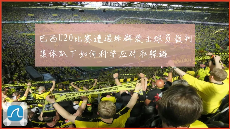 巴西U20比赛遭遇蜂群袭击球员裁判集体趴下如何科学应对和躲避